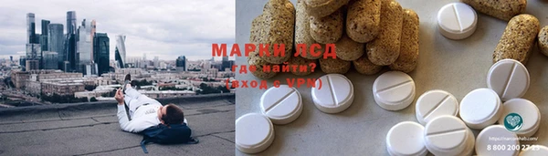 PSILOCYBIN Баксан