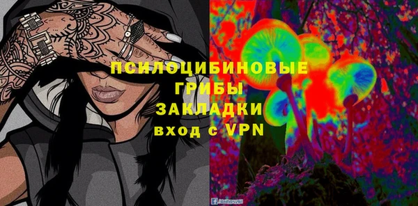 PSILOCYBIN Баксан