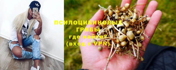 PSILOCYBIN Баксан