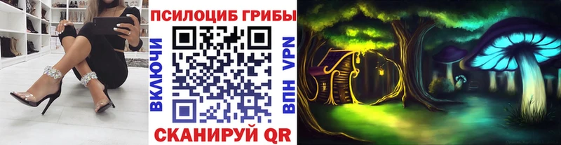 продажа наркотиков  Бикин  Псилоцибиновые грибы прущие грибы 